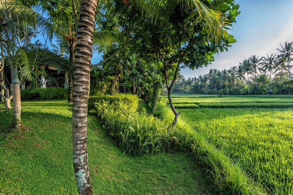 Villa Sabandari Ubud Esterno foto